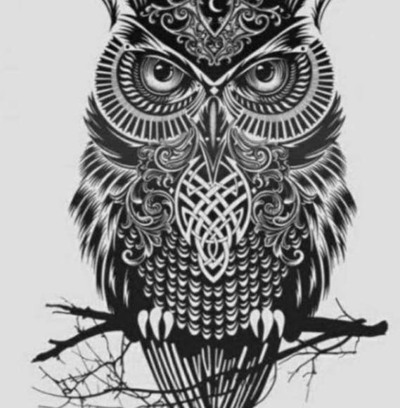 Meet your Posher, Brent - Picture 1 of 1